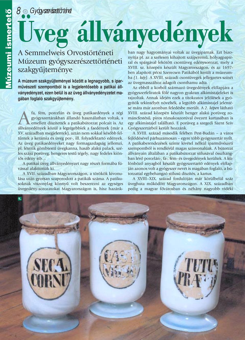 Afa, fém, porcelán és üveg patikaedények a régi gyógyszertárakban állandó használatban voltak, s emellett díszítették a patikabútorzat polcait is.
