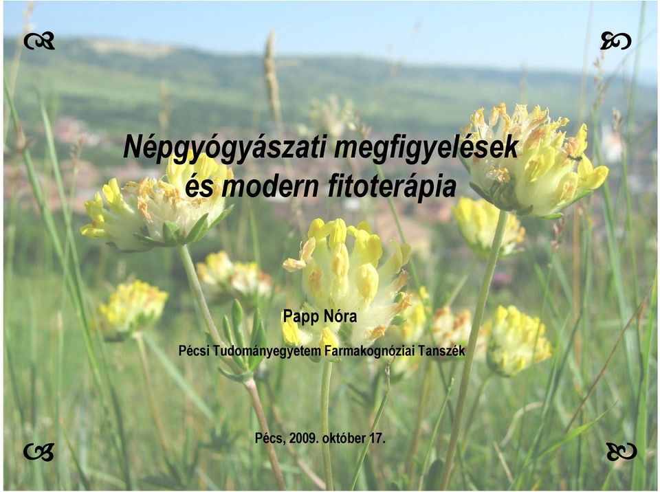Pécsi Tudományegyetem