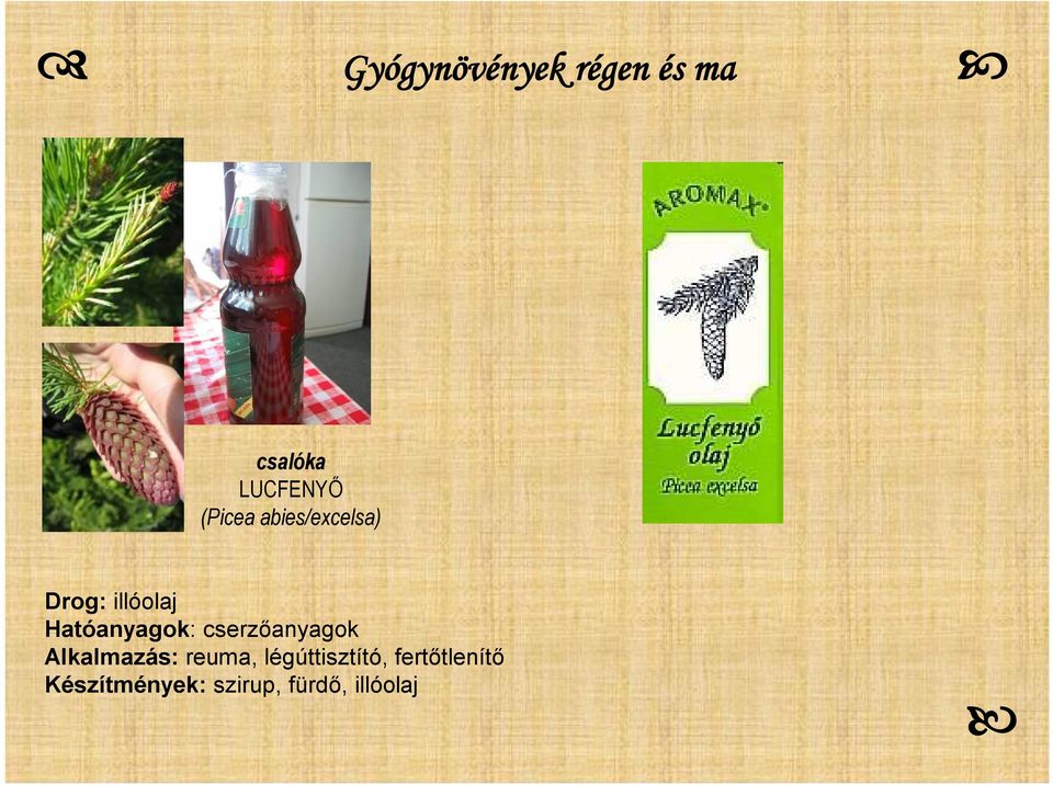 Hatóanyagok: cserzőanyagok Alkalmazás: reuma,
