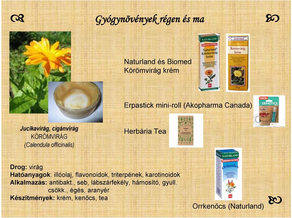 Hatóanyagok: illóolaj, flavonoidok, triterpének, karotinoidok Alkalmazás: antibakt.