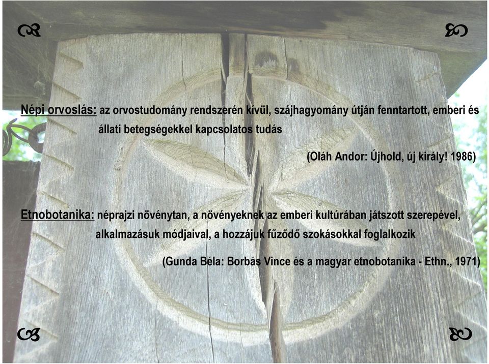 1986) Etnobotanika: néprajzi növénytan, a növényeknek az emberi kultúrában játszott szerepével,