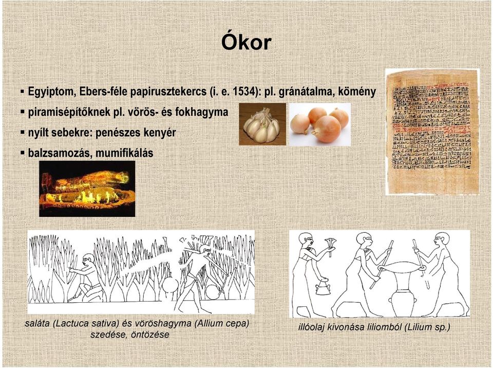 vörös- és fokhagyma nyílt sebekre: penészes kenyér balzsamozás,