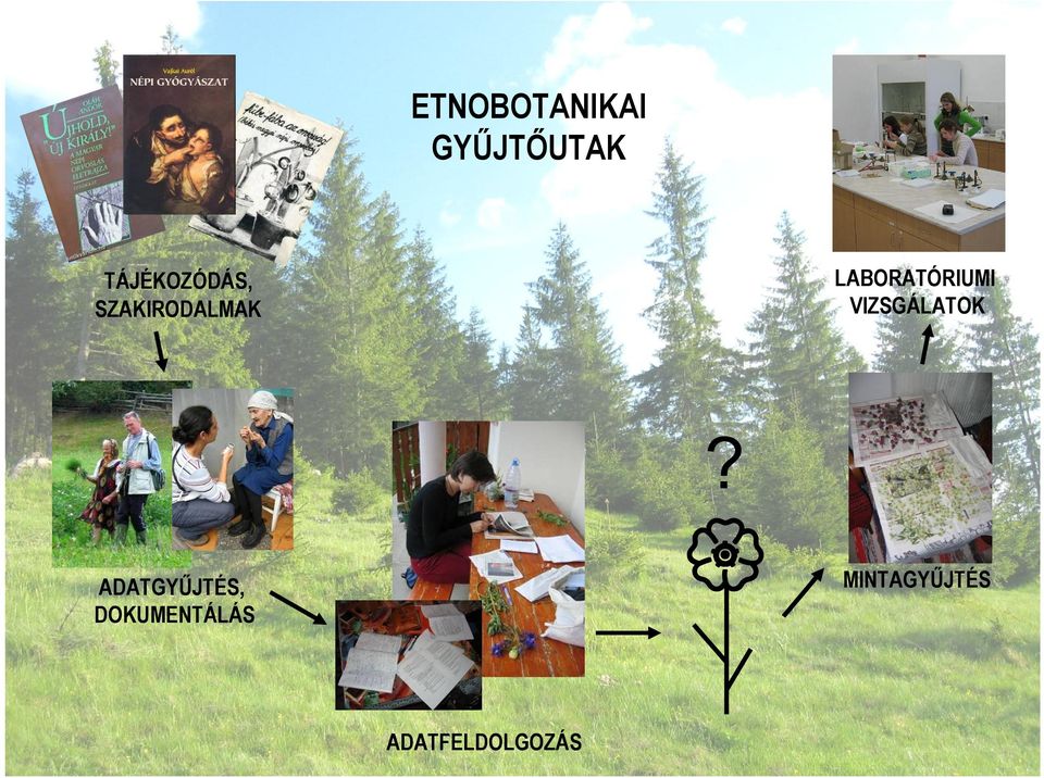 LABORATÓRIUMI VIZSGÁLATOK