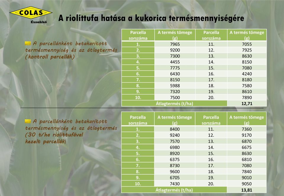 8180 8. 5988 18. 7580 9. 7320 19. 8610 10. 7500 20. 7890 Átlagtermés (t/ha) 12,71 Parcella sorszáma A termés tömege (g) A termés tömege (g) Parcella sorszáma 1. 8400 11. 7360 2.