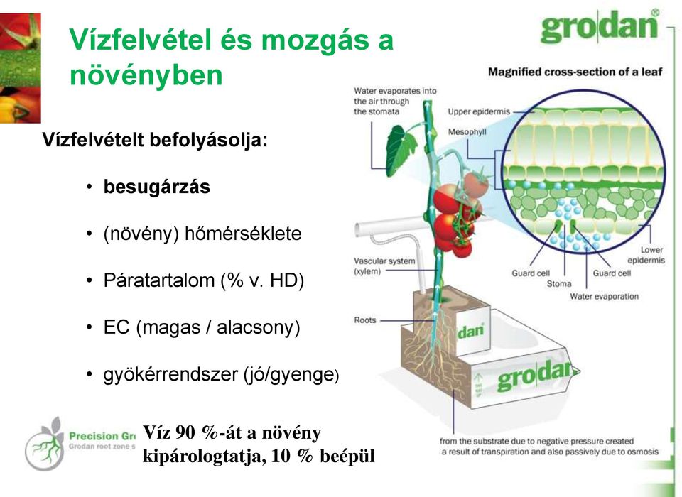 Páratartalom (% v.