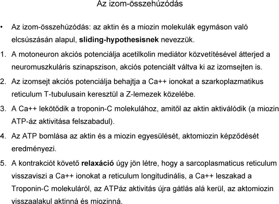 Az izomsejt akciós potenciálja behajtja a Ca++ ionokat a szarkoplazmatikus reticulum T-tubulusain keresztül a Z-lemezek közelébe. 3.