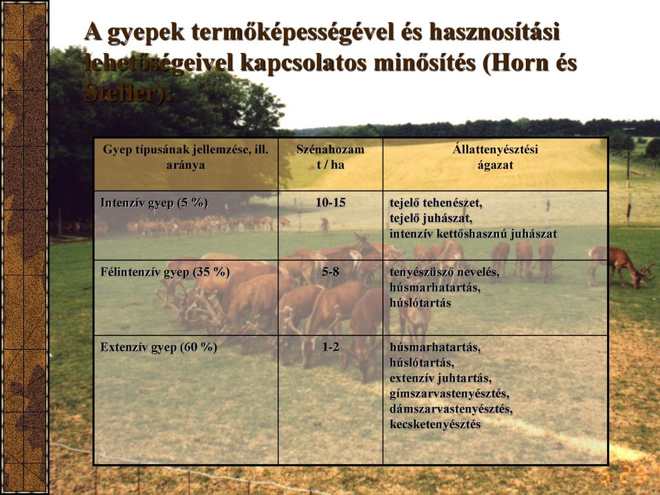 aránya Szénahozam t / ha Állattenyésztési ágazat Intenzív gyep (5 %) 10-15 tejelő tehenészet, tejelő juhászat, intenzív