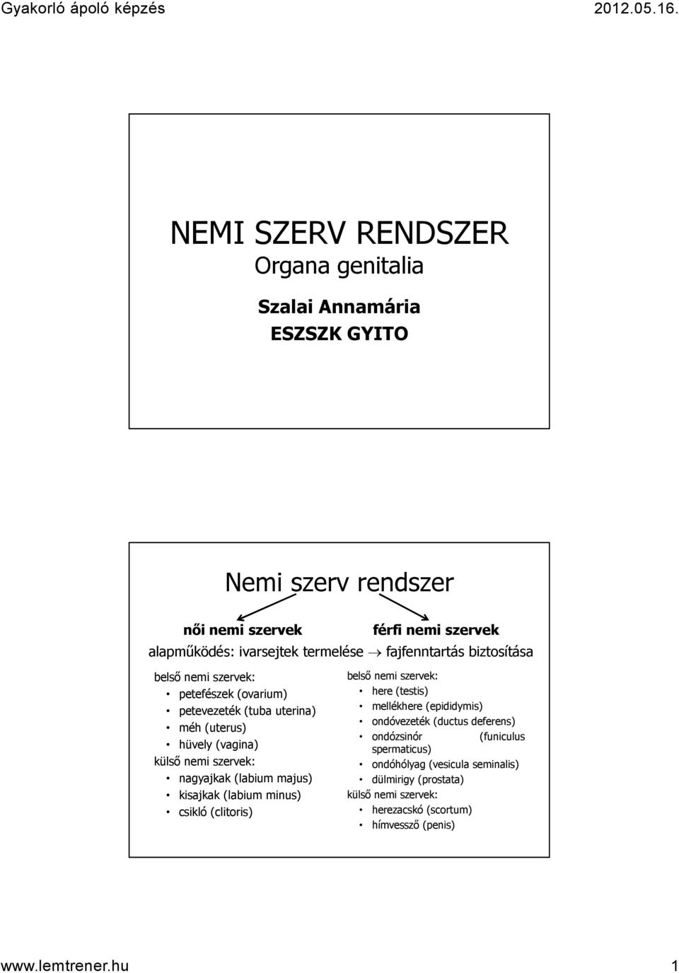 nagyajkak (labium majus) kisajkak (labium minus) csikló (clitoris) belső nemi szervek: here (testis) mellékhere (epididymis) ondóvezeték (ductus deferens)