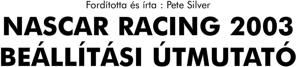 Silver NASCAR