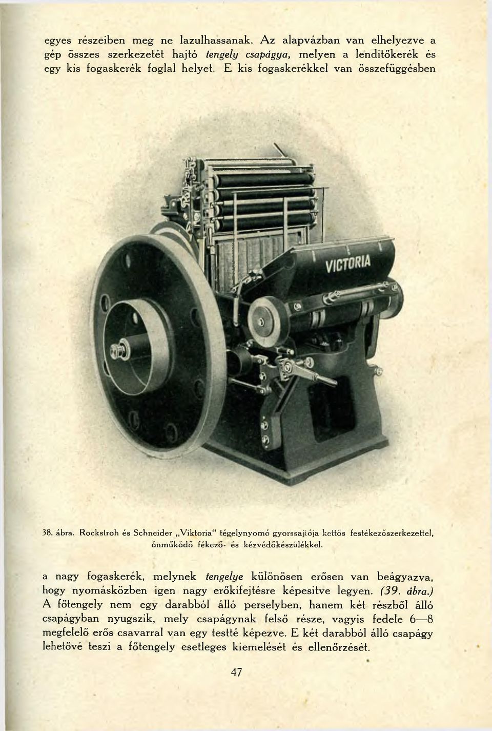 a nagy fogaskerék, melynek tengelye különösen erősen van beágyazva, hogy nyomásközben igen nagy erőkifejtésre képesítve legyen. (39. ábra.