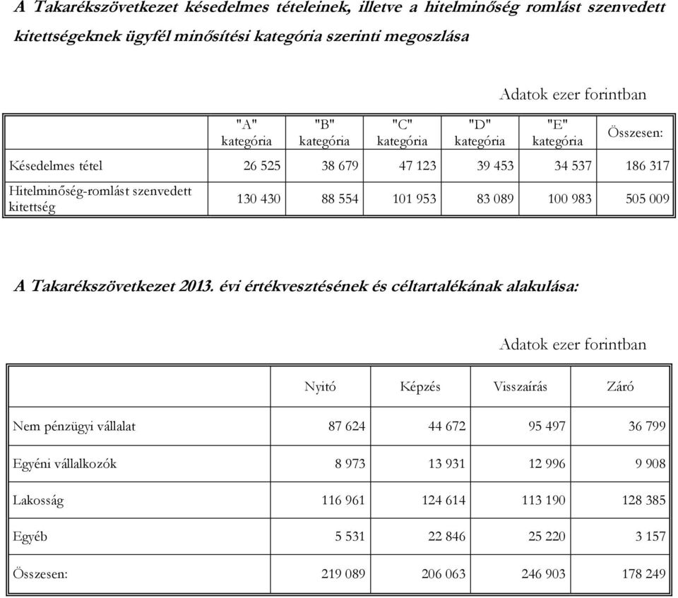 554 101 953 83 089 100 983 505 009 A Takarékszövetkezet 2013.