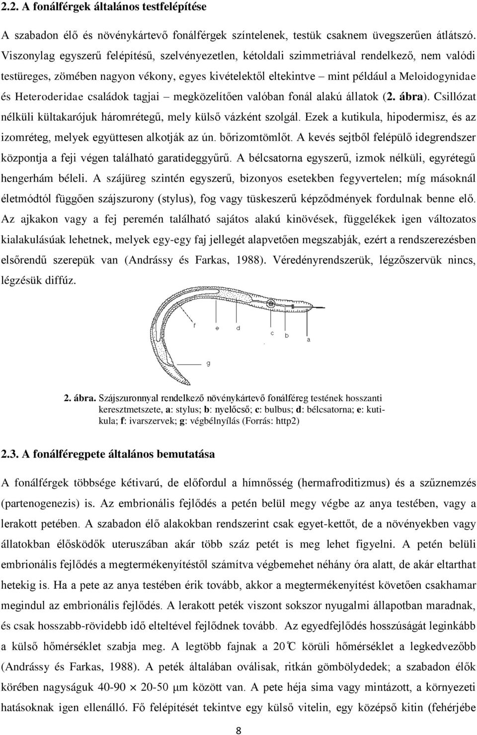 Heteroderidae családok tagjai megközelítően valóban fonál alakú állatok (2. ábra). Csillózat nélküli kültakarójuk háromrétegű, mely külső vázként szolgál.