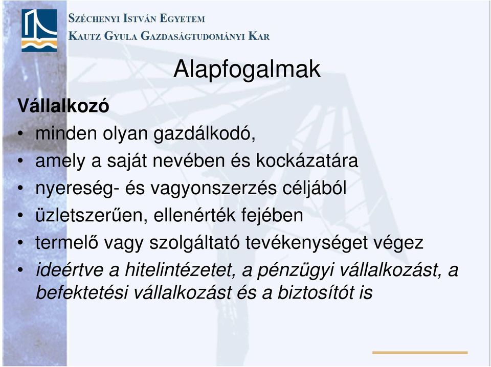 fejében termelő vagy szolgáltató tevékenységet végez ideértve a
