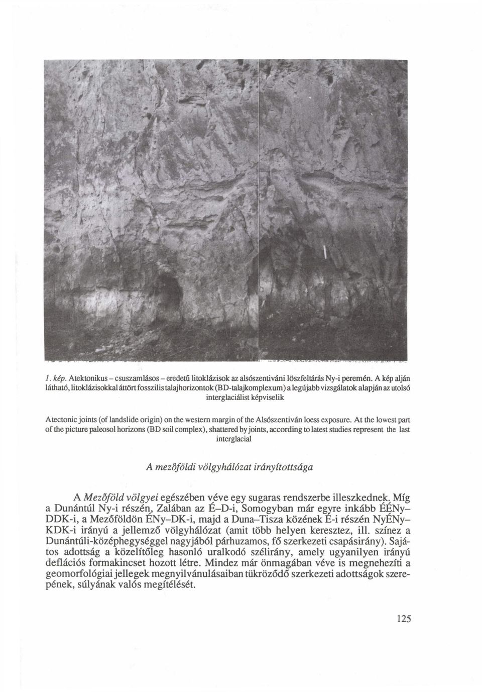 the western margin of the Alsószentiván loess exposure.