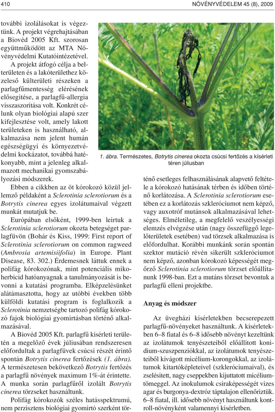 A projekt átfogó célja a belterületen és a lakóterülethez közelesô külterületi részeken a parlagfûmentesség elérésének elôsegítése, a parlagfû-allergia visszaszorítása volt.