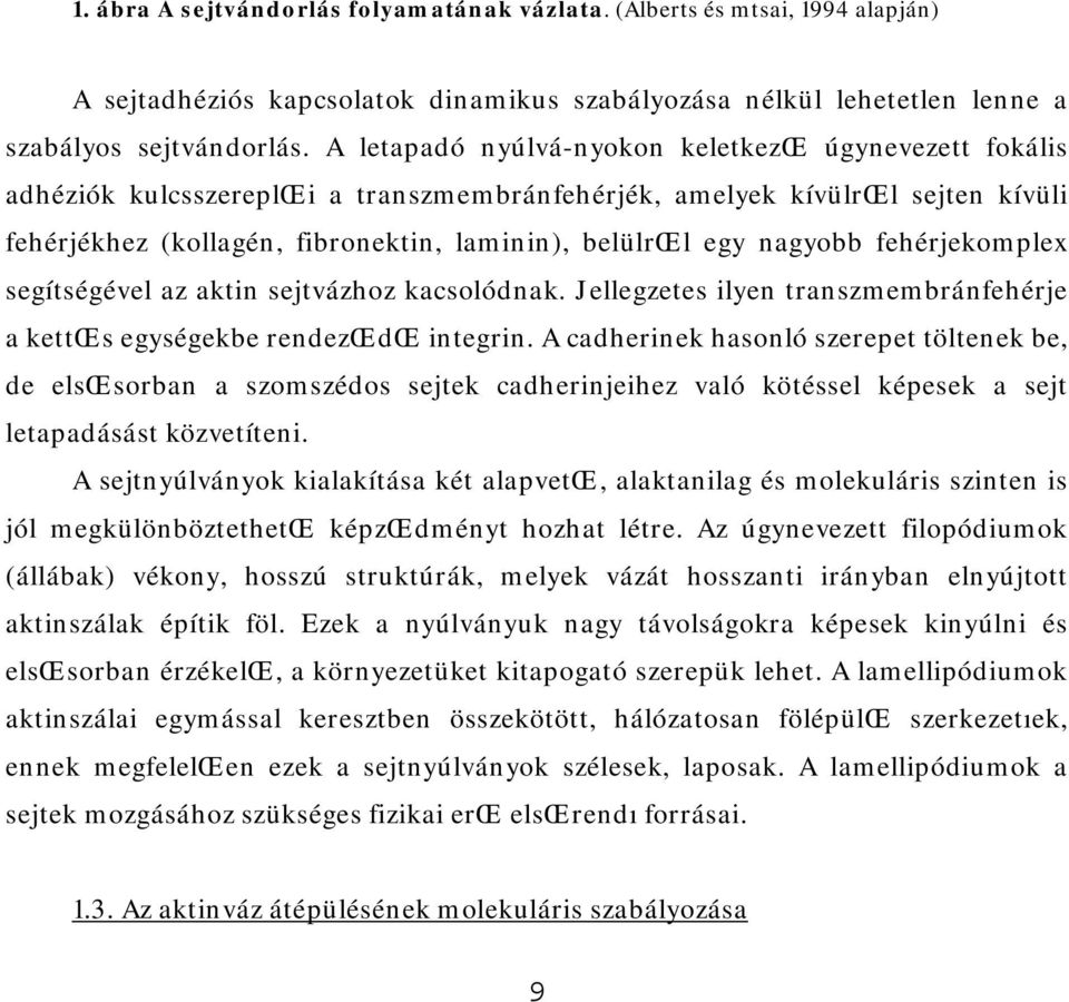 nagyobb fehérjekomplex segítségével az aktin sejtvázhoz kacsolódnak. Jellegzetes ilyen transzmembránfehérje a kettœs egységekbe rendezœdœ integrin.