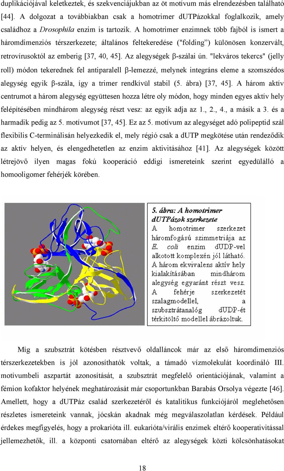 A homotrimer enzimnek több fajból is ismert a háromdimenziós térszerkezete; általános feltekeredése ("folding ) különösen konzervált, retrovírusoktól az emberig [37, 40, 45].