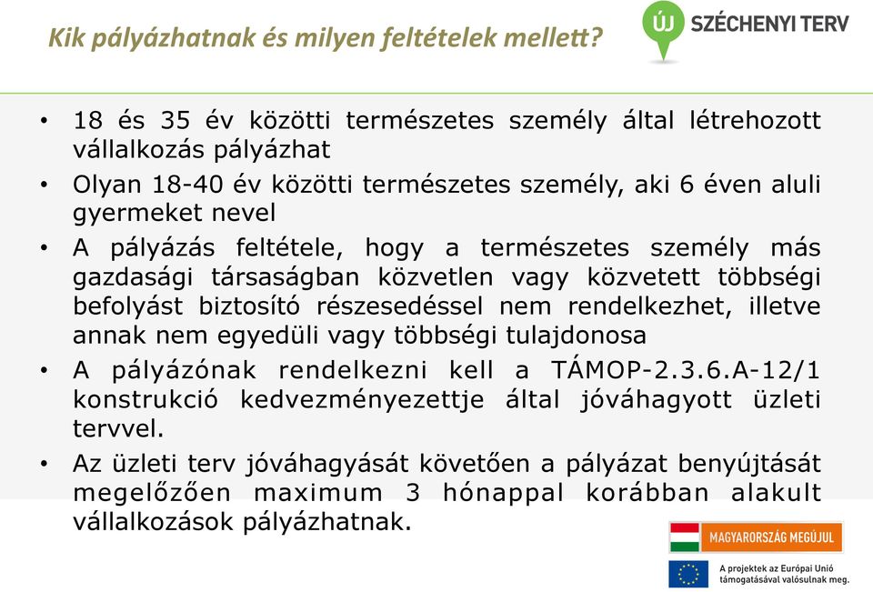 pályázás feltétele, hogy a természetes személy más gazdasági társaságban közvetlen vagy közvetett többségi befolyást biztosító részesedéssel nem rendelkezhet, illetve