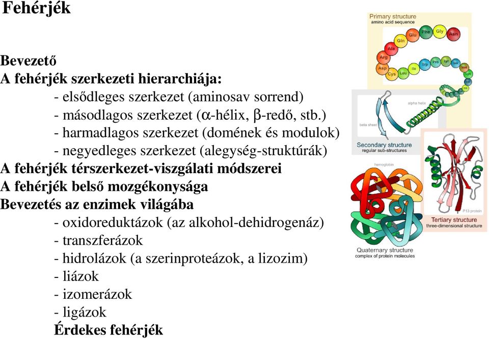 ) - harmadlagos szerkezet (domének és modulok) - negyedleges szerkezet (alegység-struktúrák) A fehérjék