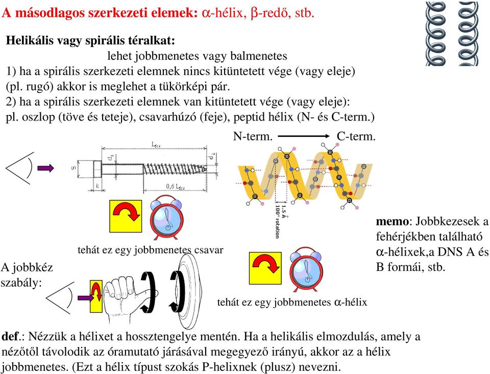 C-term. A jobbkéz szabály: tehát ez egy jobbmenetes csavar tehát ez egy jobbmenetes α-hélix memo: Jobbkezesek a fehérjékben található α-hélixek,a DS A és B formái, stb. def.