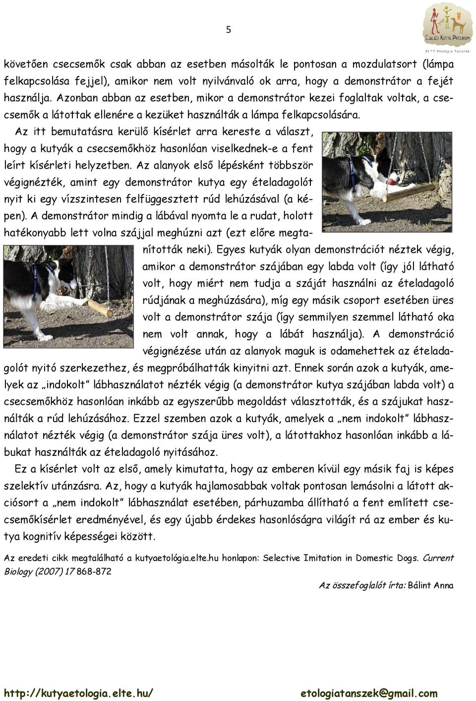 Az itt bemutatásra kerülő kísérlet arra kereste a választ, hogy a kutyák a csecsemőkhöz hasonlóan viselkednek-e a fent leírt kísérleti helyzetben.