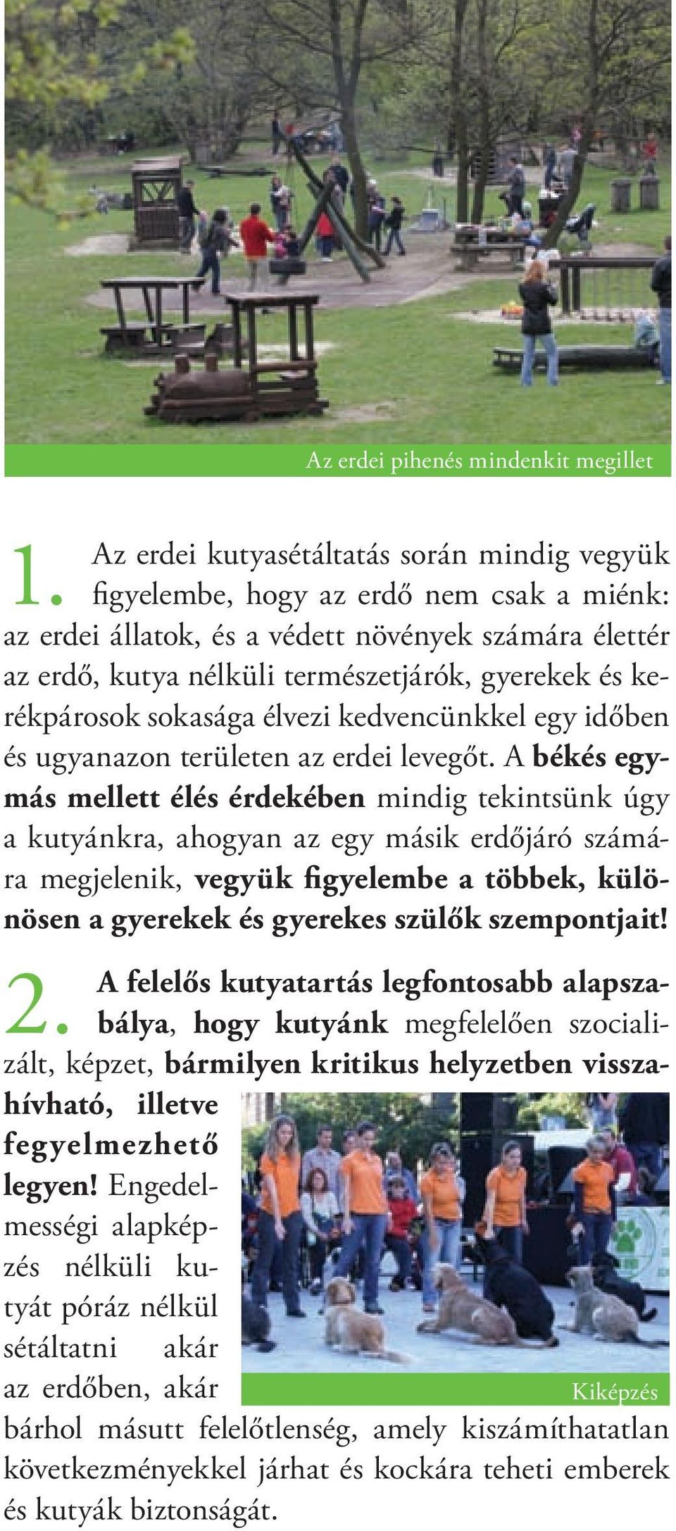 A békés egymás mellett élés érdekében mindig tekintsünk úgy a kutyánkra, ahogyan az egy másik erdőjáró számára megjelenik, vegyük figyelembe a többek, különösen a gyerekek és gyerekes szülők