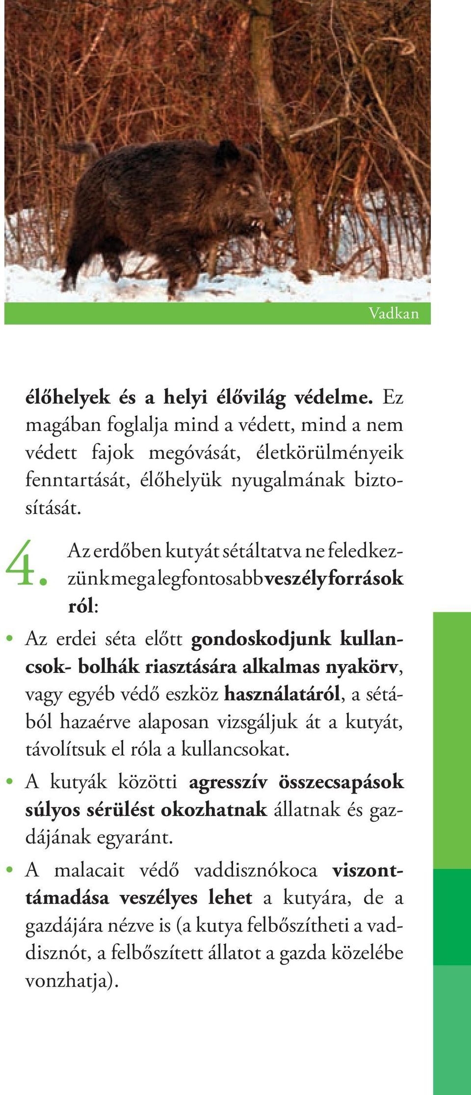 használatáról, a sétából hazaérve alaposan vizsgáljuk át a kutyát, távolítsuk el róla a kullancsokat.