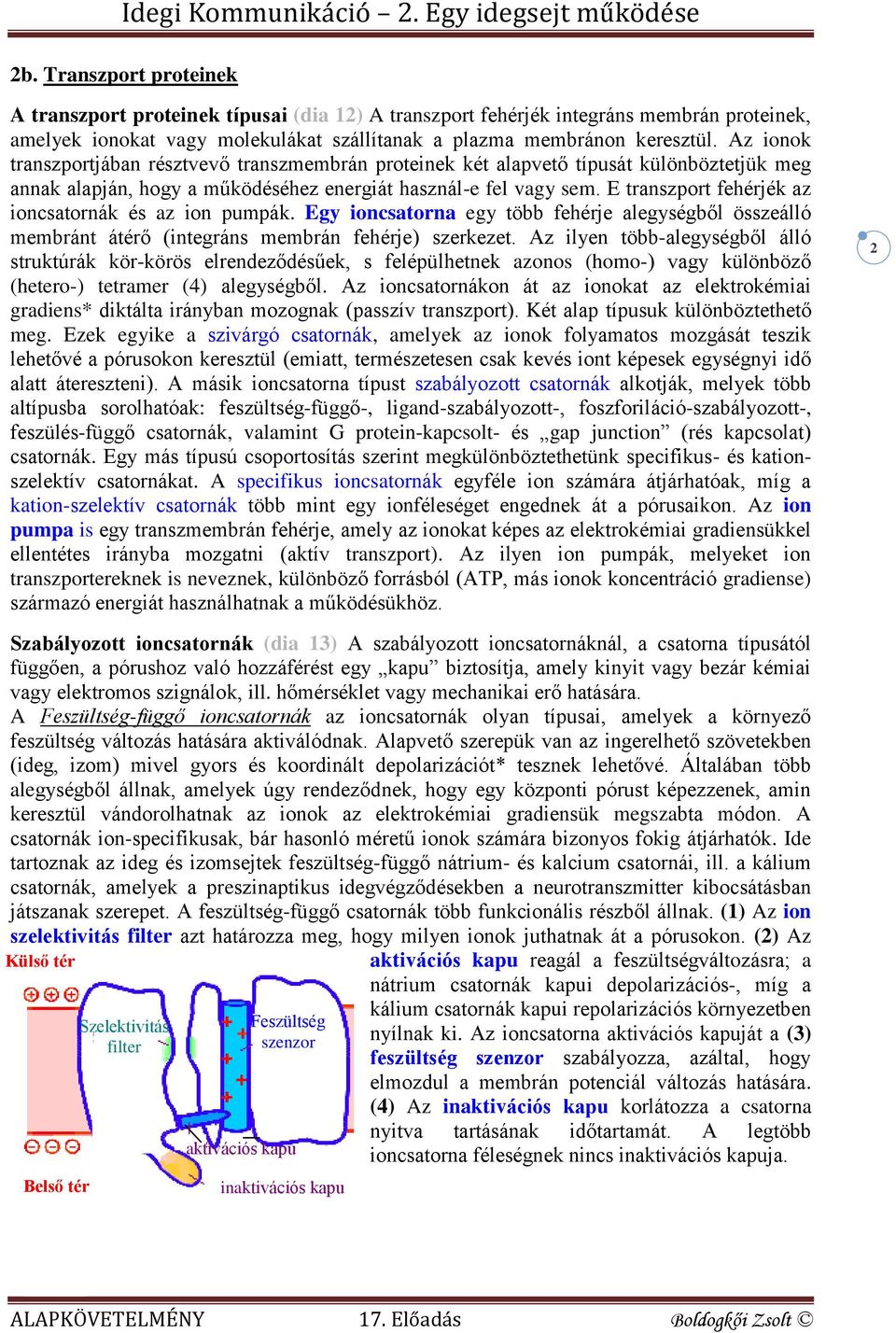 E transzport fehérjék az ioncsatornák és az ion pumpák. Egy ioncsatorna egy több fehérje alegységből összeálló membránt átérő (integráns membrán fehérje) szerkezet.