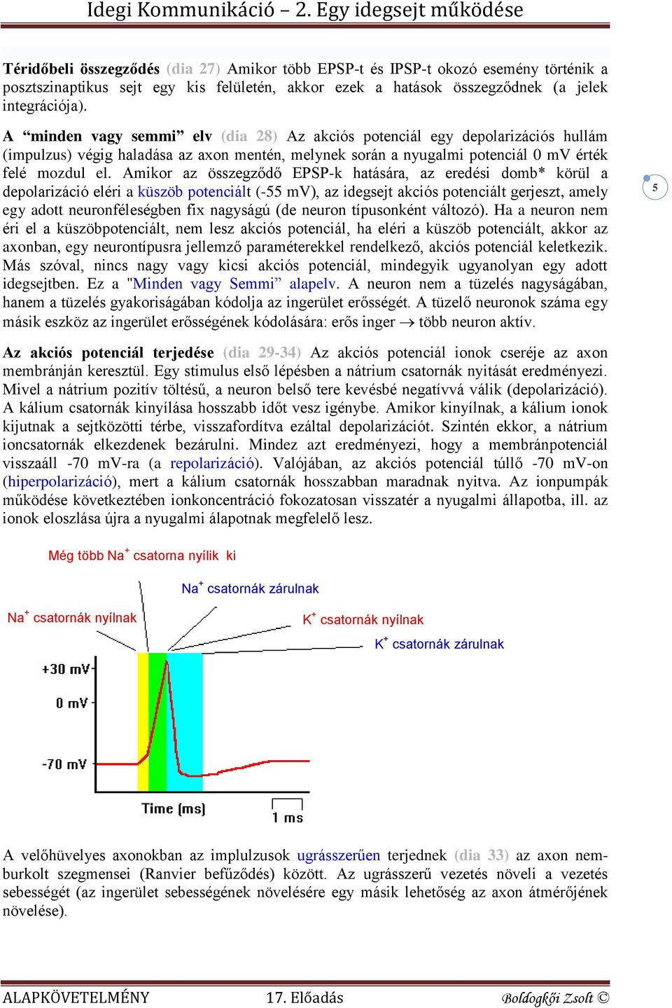 Amikor az összegződő EPSP-k hatására, az eredési domb* körül a depolarizáció eléri a küszöb potenciált (-55 mv), az idegsejt akciós potenciált gerjeszt, amely egy adott neuronféleségben fix nagyságú