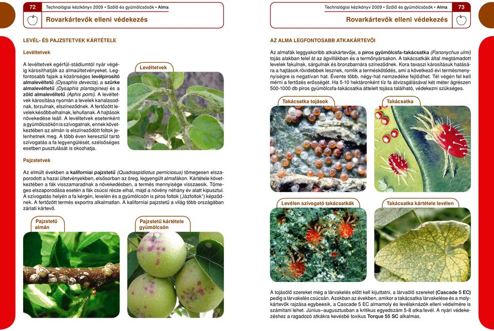 Legfontosabb fajaik a közönséges levélpirosító almalevéltetû (Dysaphis devecta), a szu rke almalevéltetû (Dysaphis plantaginea) és a zöld almalevéltetû (Aphis pomi).