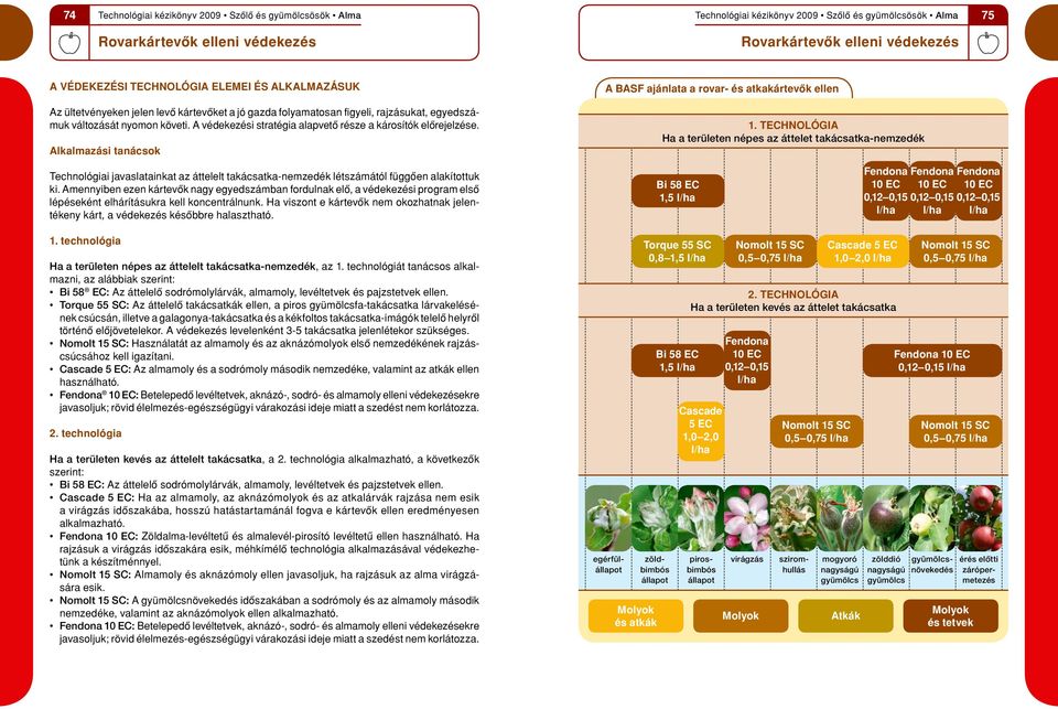 technológia Ha a teru leten népes az áttelet takácsatka-nemzedék Technológiai javaslatainkat az áttelelt takácsatka-nemzedék létszámától függôen alakítottuk ki.