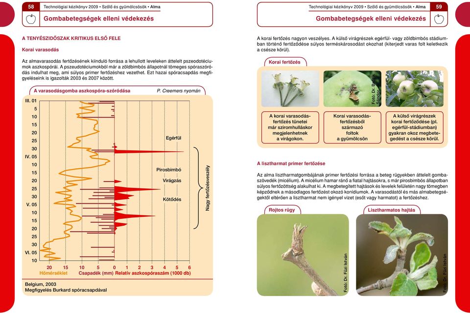 III. 01 5 10 15 20 25 30 IV. 05 10 15 20 25 30 V. 05 10 15 20 25 30 VI. 05 10 A varasodásgomba aszkospóra-szóródása P.