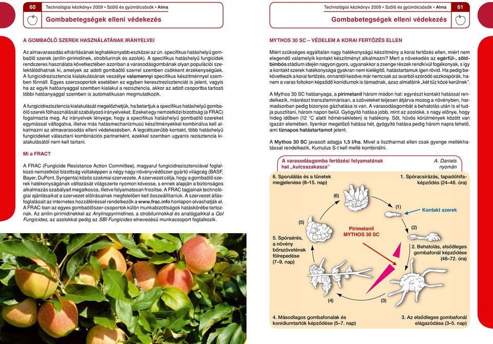 keny sé gûek. A fungicidrezisztencia kialakulásának veszélye valamennyi specifikus készítménnyel szemben fönnáll.