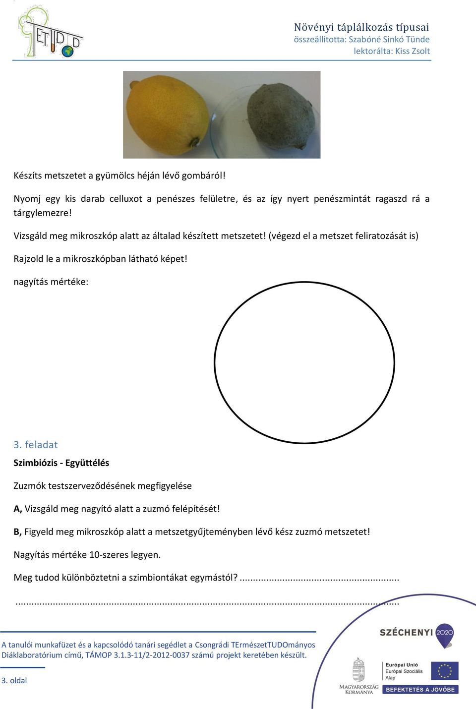 nagyítás mértéke: 3. feladat Szimbiózis - Együttélés Zuzmók testszerveződésének megfigyelése A, Vizsgáld meg nagyító alatt a zuzmó felépítését!