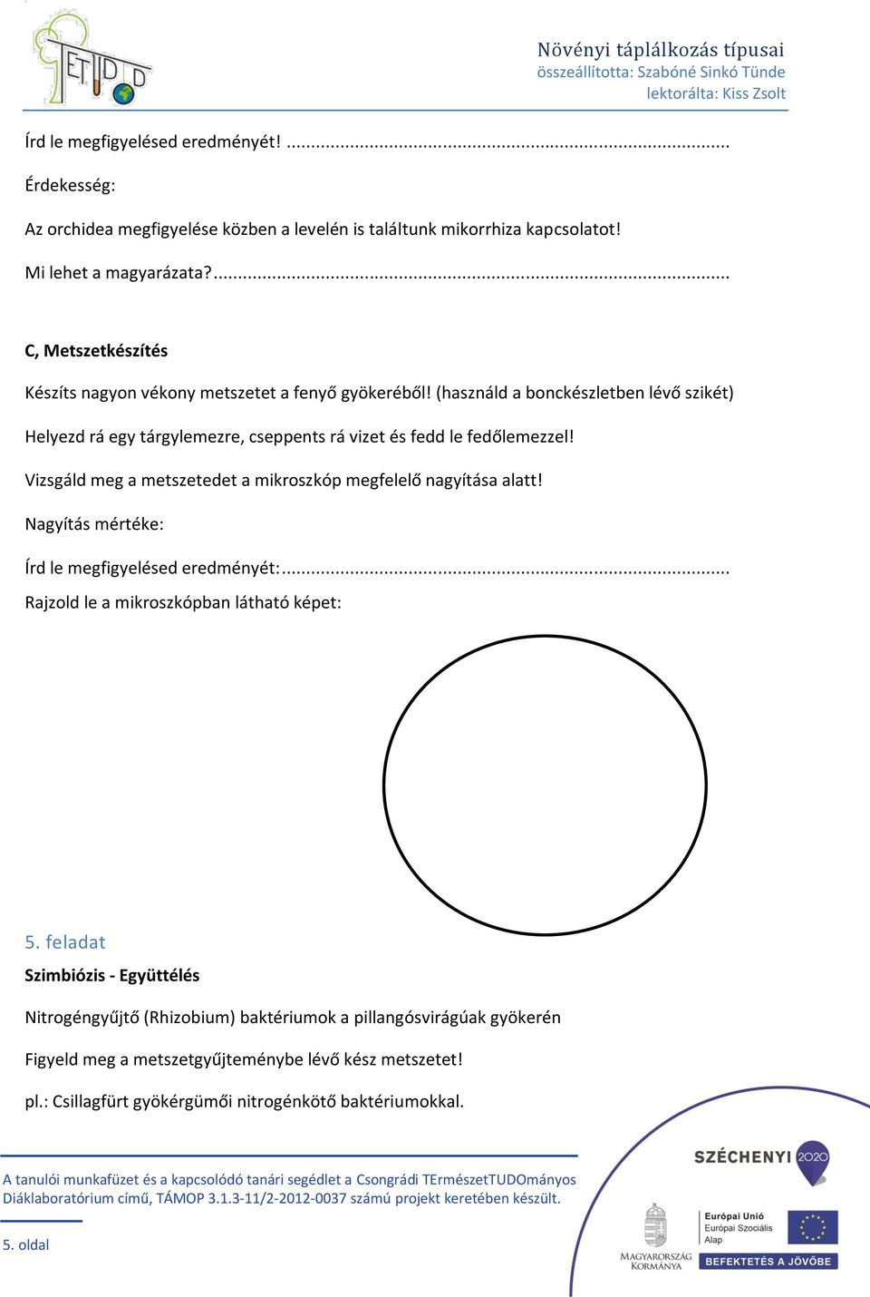 (használd a bonckészletben lévő szikét) Helyezd rá egy tárgylemezre, cseppents rá vizet és fedd le fedőlemezzel! Vizsgáld meg a metszetedet a mikroszkóp megfelelő nagyítása alatt!