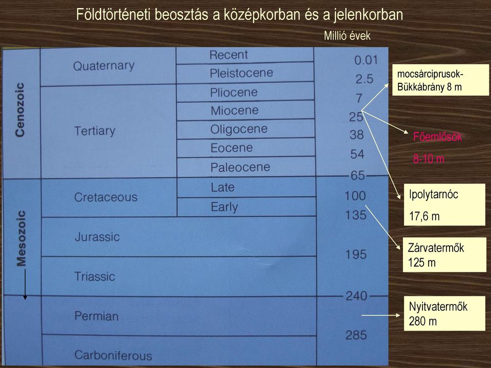 Bükkábrány 8 m Főemlősök 8-10 m