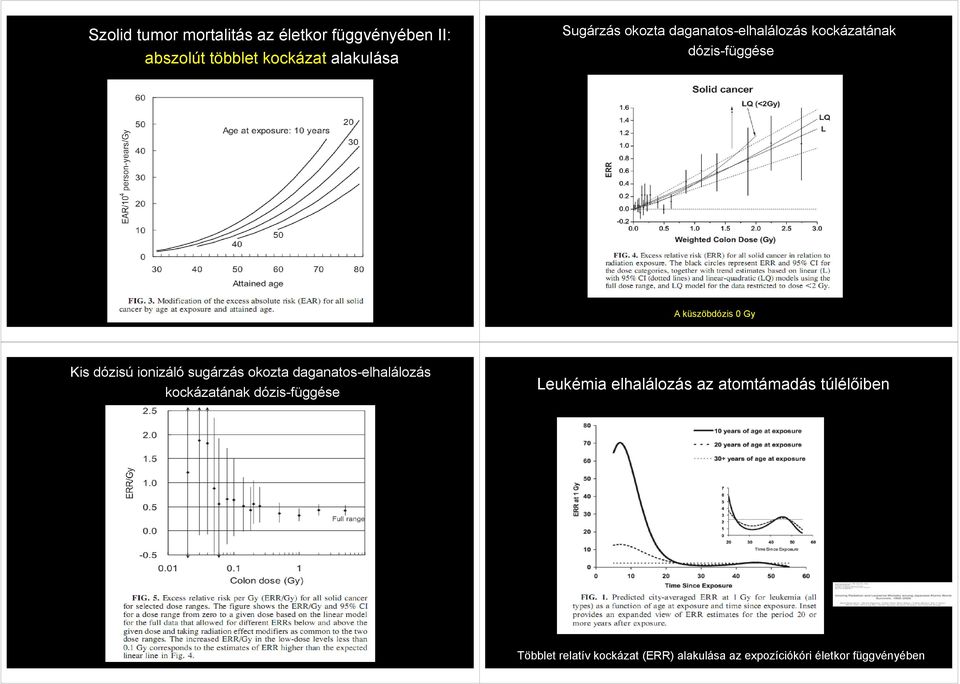 ionizáló sugárzás okozta daganatos-elhalálozás kockázatának dózis-függése Leukémia elhalálozás