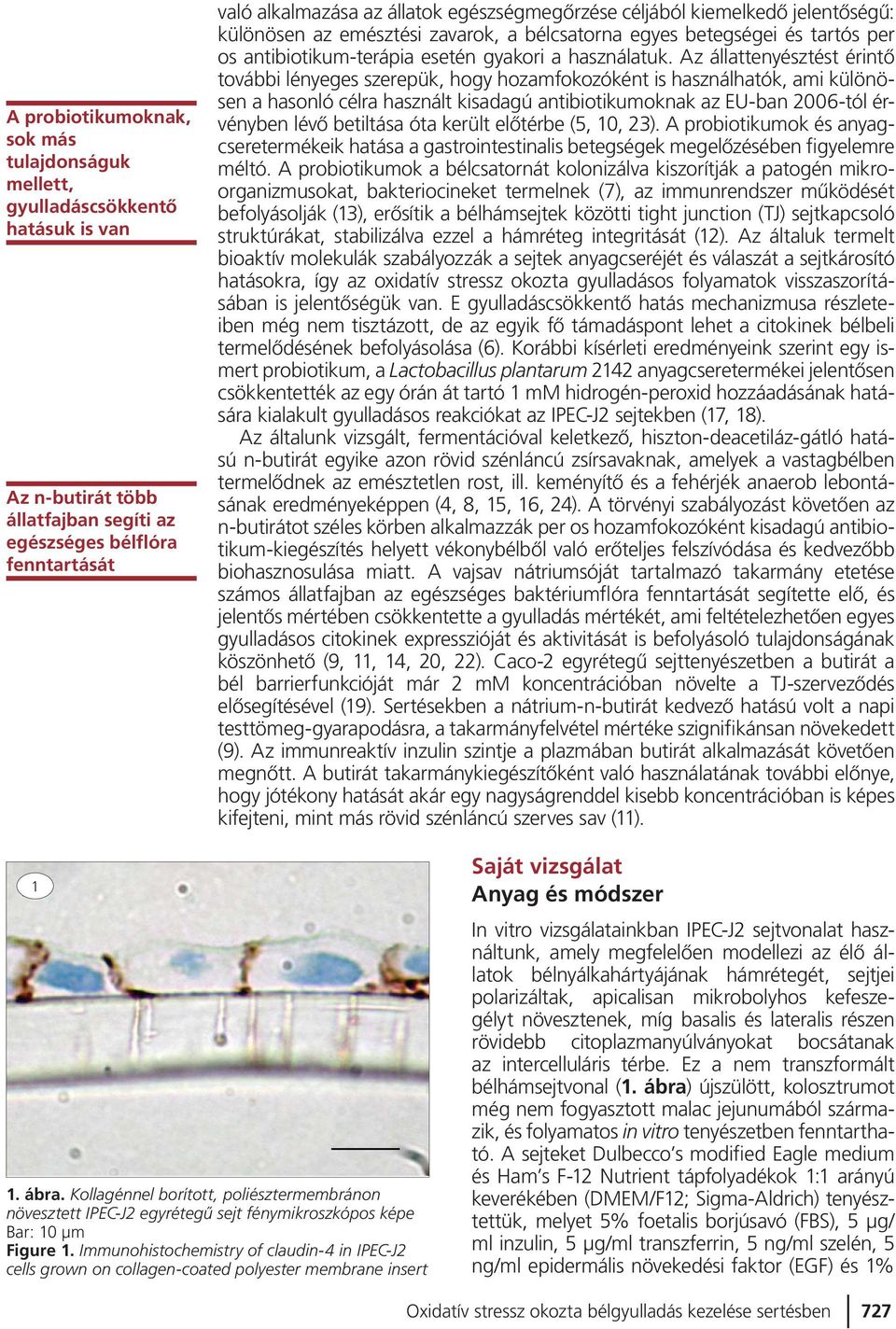 Az állattenyésztést érintô további lényeges szerepük, hogy hozamfokozóként is használhatók, ami különösen a hasonló célra használt kisadagú antibiotikumoknak az EU-ban 2006-tól érvényben lévô