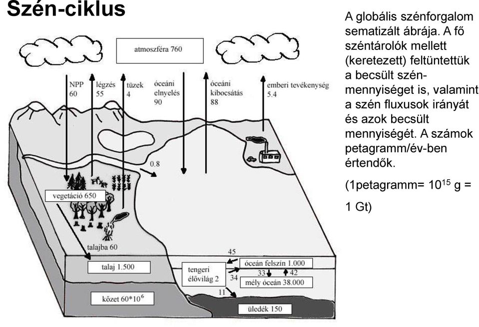 szénmennyiséget is, valamint a szén fluxusok irányát és azok