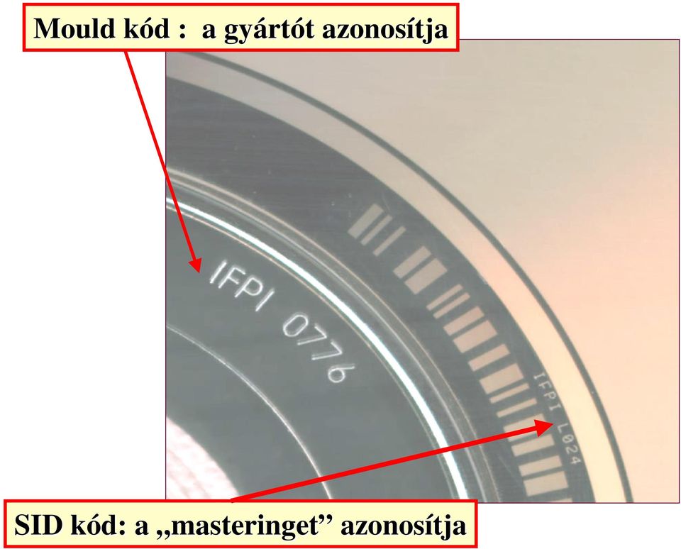 azonosítja SID