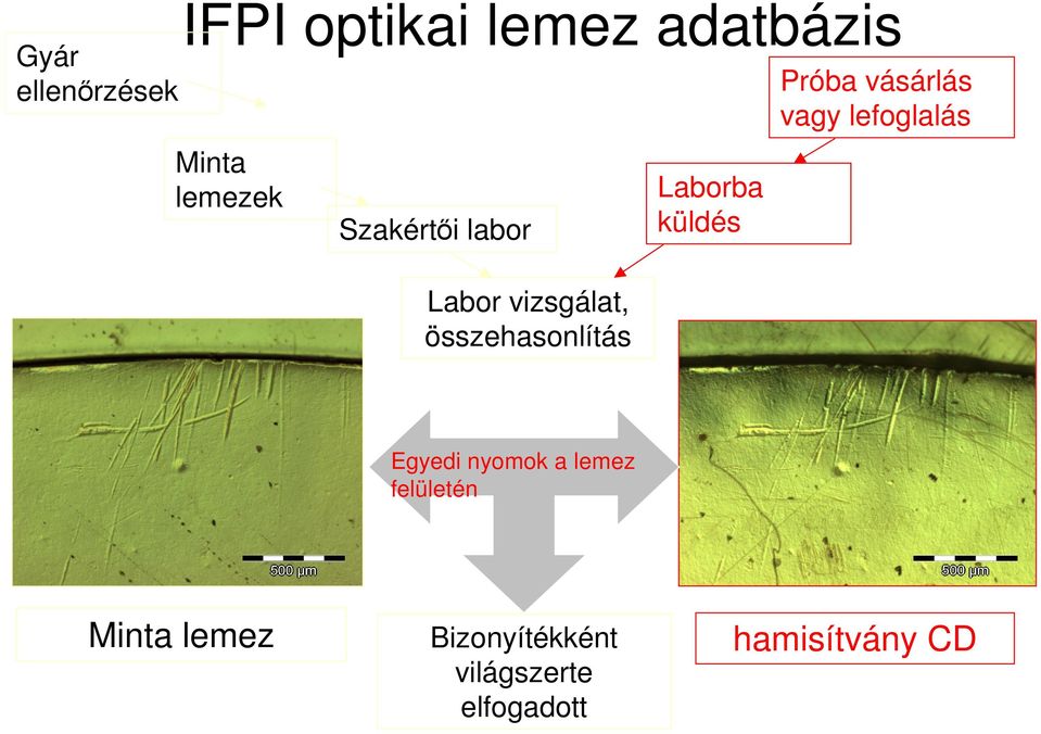 küldés Próba vásárlás vagy lefoglalás Egyedi nyomok a lemez