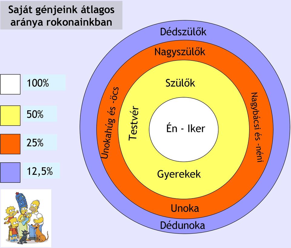 -öc Én - Iker néni 25% Szülők Nagybácsi és