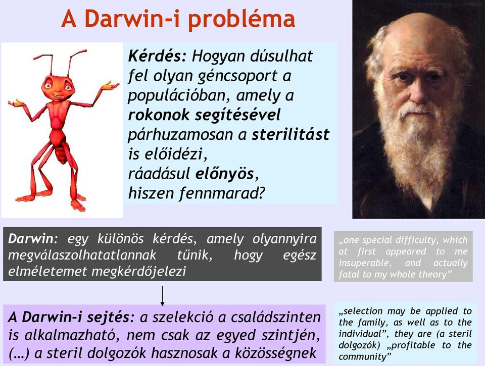 Darwin: egy különös kérdés, amely olyannyira megválaszolhatatlannak tűnik, hogy egész elméletemet megkérdőjelezi one special difficulty, which at first appeared to me