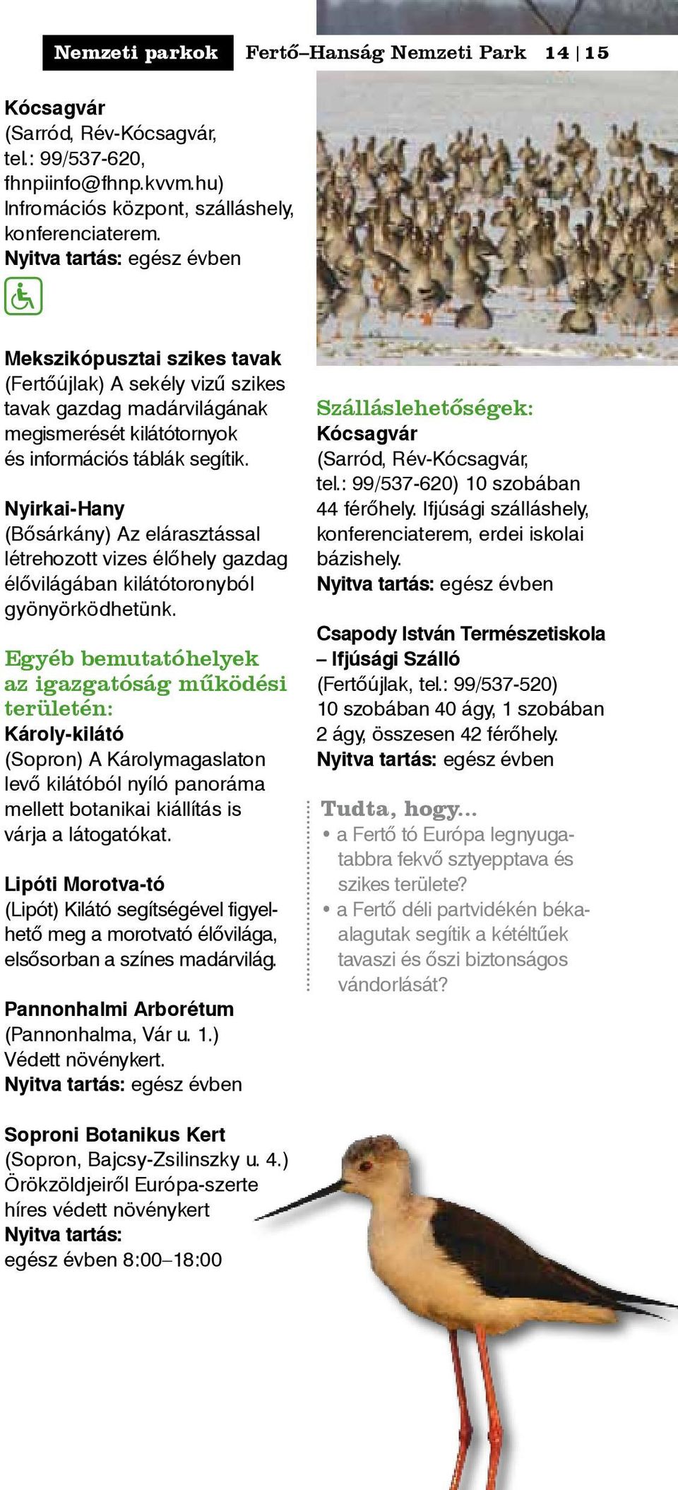 Nyirkai-Hany (Bősárkány) Az elárasztással létrehozott vizes élőhely gazdag élővilágában kilátótoronyból gyönyörködhetünk.