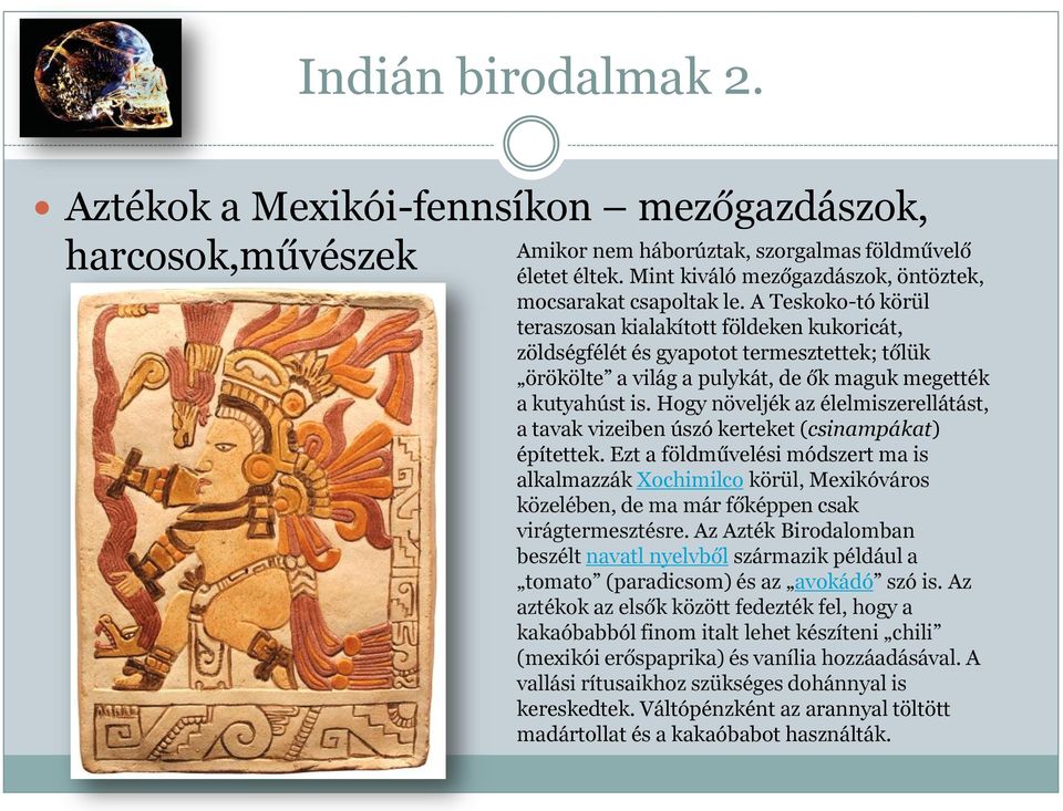 A Teskoko-tó körül teraszosan kialakított földeken kukoricát, zöldségfélét és gyapotot termesztettek; tőlük örökölte a világ a pulykát, de ők maguk megették a kutyahúst is.