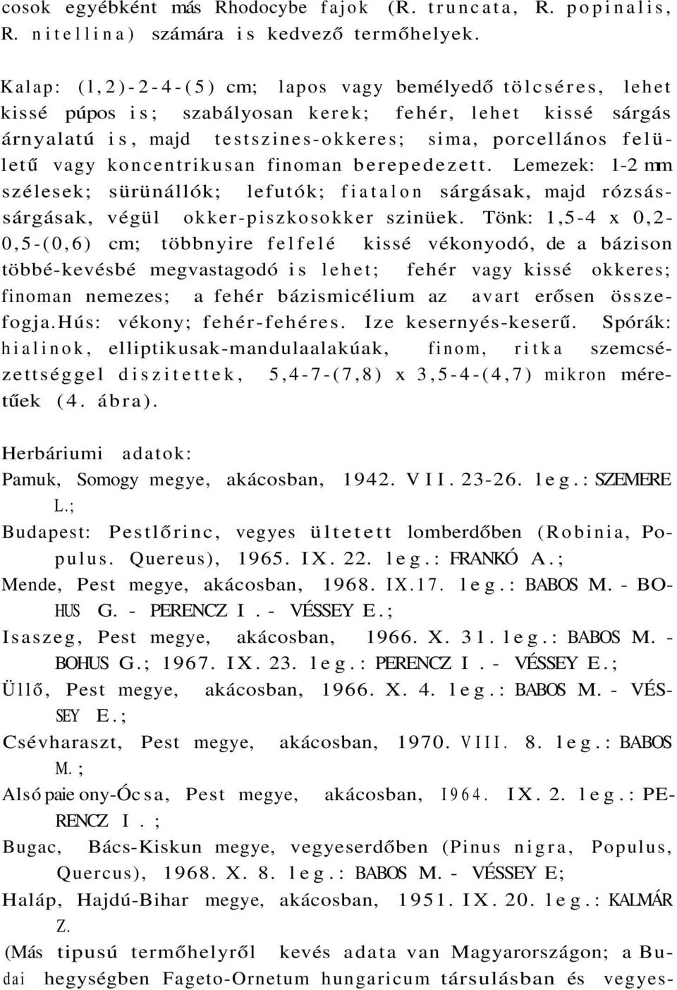 koncentrikusan finoman berepedezett. Lemezek: 1-2 mm szélesek; sürünállók; lefutók; fiatalon sárgásak, majd rózsássárgásak, végül okker-piszkosokker szinüek.