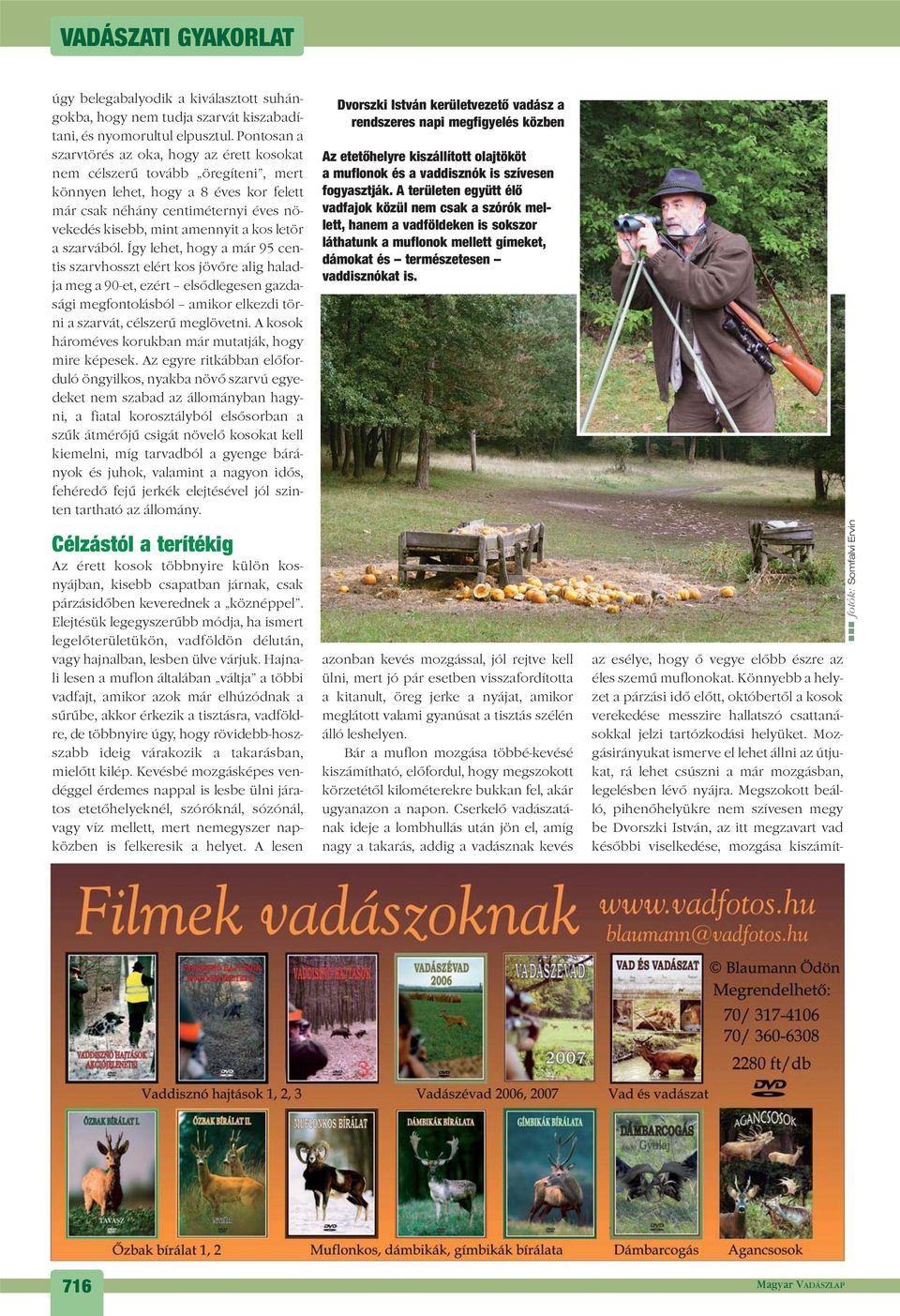 kos letör a szarvából.