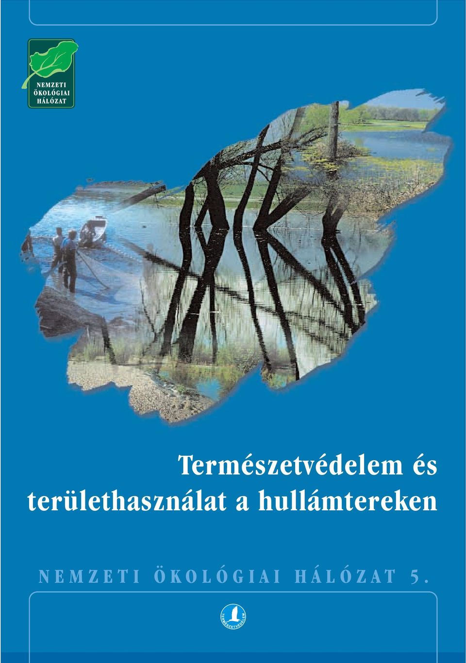 hullámtereken