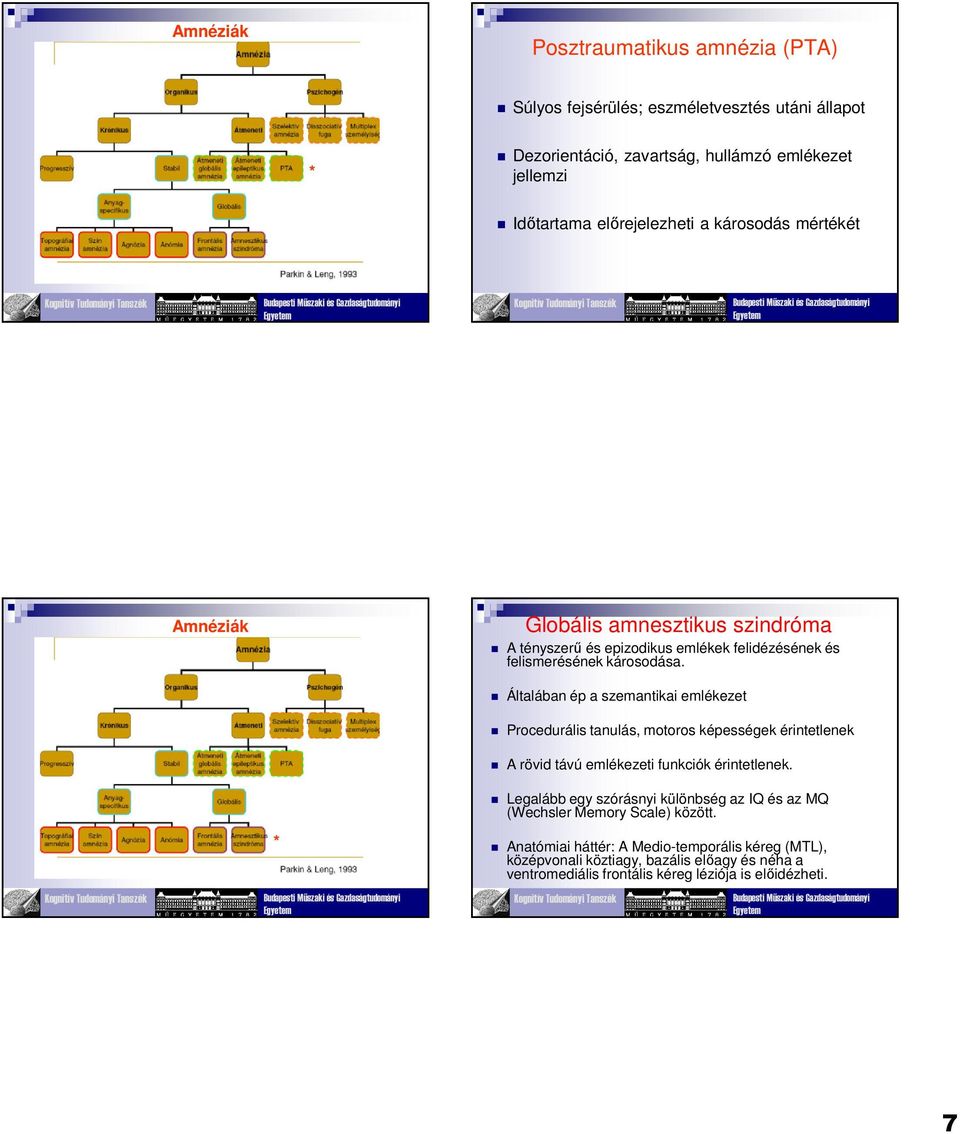 Elveszett emlékek. Miről lesz szó? - PDF Ingyenes letöltés