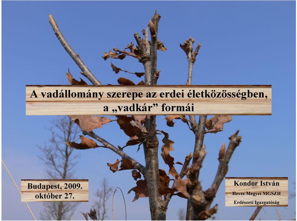 A vadállomány szerepe az erdei életközösségben, a vadkár formái - PDF Free  Download